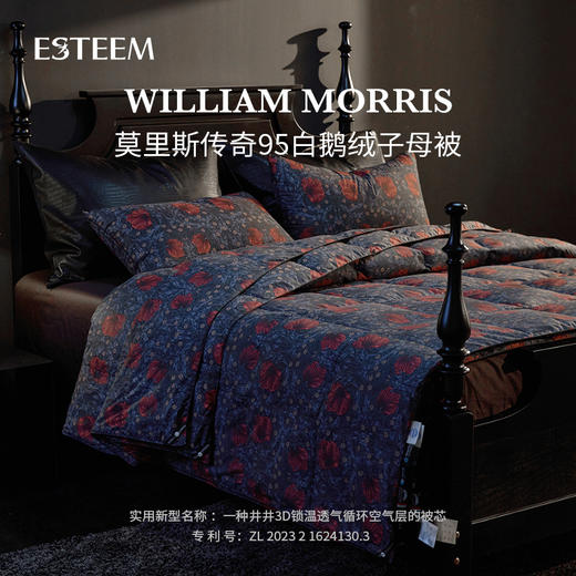 【预售款下单45天发】宜庭匈牙利可水洗鹅绒子母被|十年质保！万元奢侈睡感！四季可用，组合严寒也暖和！ 商品图4