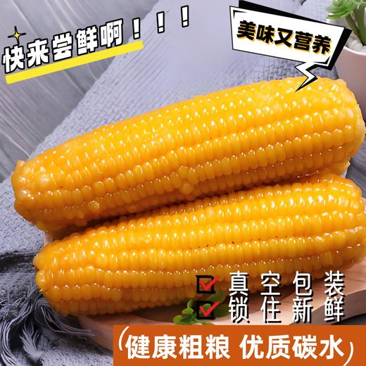 元鲜拾光黄糯玉米 | 清香浓郁 脆嫩Q弹 营养丰富 220g*8根 商品图2