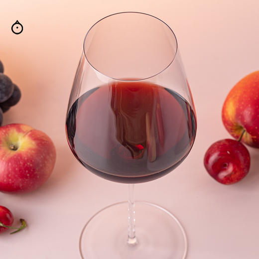 企鹅市集|西班牙阿塔拉亚酒庄 拉亚干红 百年酿酒家族打造 石墨可可黑加仑 性价比口粮 商品图3