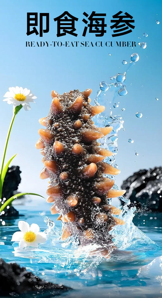 【买一袋送一袋】正宗大连即食海参500g/袋8-10头 商品图4