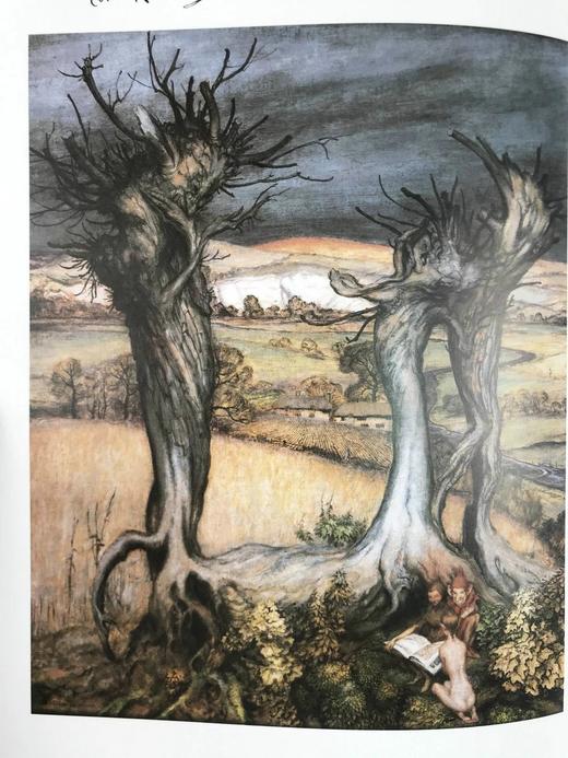 亚瑟·拉克姆：插画中的一生 数百幅彩色插图 精装大16开 商品图9