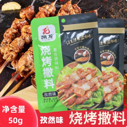 50g 凯龙 烧烤撒料 孜然味 烧烤撒料蘸料 家用小包装烧烤调料 商品图0