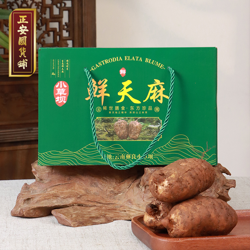 正安 云南昭通小草坝新鲜天麻【秒杀】 道地产区核心区现挖现发 补充头脑营养 优质原材 个头短肥肉质肥厚 1.5kg/箱【不叠加任何活动】