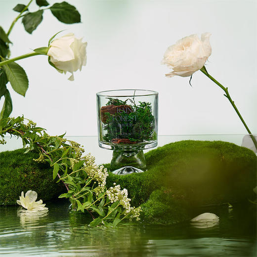 罗莱礼品-雨林蕉影香氛礼盒（林间之语） 商品图2