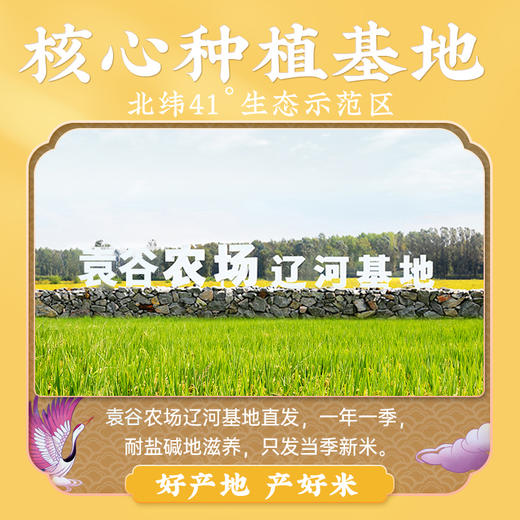 袁谷隆平芯米东北晶米10斤珍珠米梗米盘锦蟹田优质大米2025年新米 商品图3