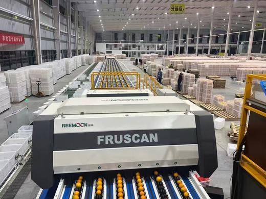 生态种植赣南脐橙 5/10/20斤 商品图6