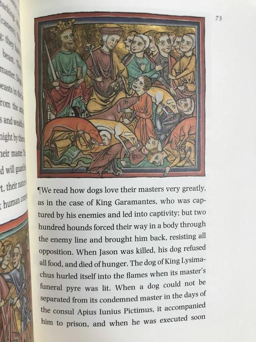 动物寓言集 近百幅彩色插图 精装16开带书匣 商品图12