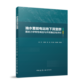 抽水蓄能电站地下洞室群围岩力学特性响应与开挖稳定性评价