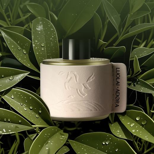 罗莱礼品-茶马古道车载香氛礼盒 商品图1