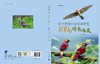 贵州宽阔水自然保护区100种特色鸟类 商品缩略图3