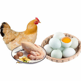 郧阳青山土母鸡 1只 +鲍峡绿壳蛋30枚（母鸡杀完净重2.2~2.5斤左右 ，1年以上）周五发货