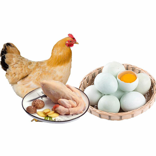 郧阳青山土母鸡 1只 +鲍峡绿壳蛋30枚（母鸡杀完净重2.2~2.5斤左右 ，1年以上）周五发货 商品图0