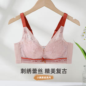 雅黛俪女士文胸甜美性感蕾丝聚拢显大内衣U型美背胸罩