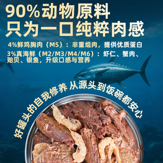 妙爽 猫罐头 1箱=20罐  170g一罐  多口味 猫咪零食湿粮【包装更新 新老包装混发】 商品图3