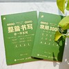 行书攻略 整篇书写与一字多写+常用3000字 实战应用2册 行书技法实战教程行书字帖临摹练习 商品缩略图3