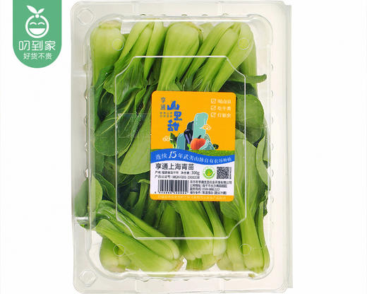 享通绿色上海青苗*2包（300g±30g/份） 商品图2
