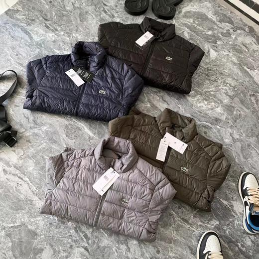 D110784双面防钻绒高科技面料立领轻薄纯色羽绒服 商品图1