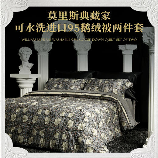 【预售款下单45天发】宜庭匈牙利可水洗鹅绒子母被|十年质保！万元奢侈睡感！四季可用，组合严寒也暖和！ 商品图6