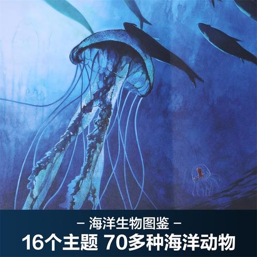 乐乐趣儿童科普绘本 深海秘境 开启你的深海奇旅高清油画大图 商品图2