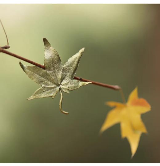 【Michael Michaud】枫叶镀金胸针 商品图3