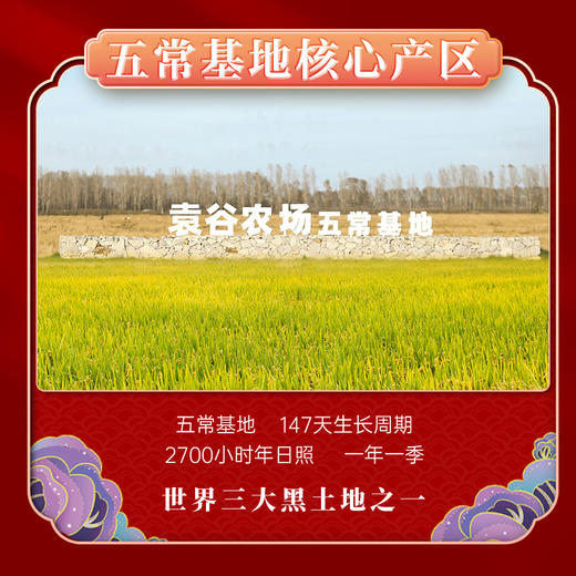 袁谷隆平芯米五常龙凤香米5kg稻花香2号东北大米/粳米10斤2025年新米 商品图3