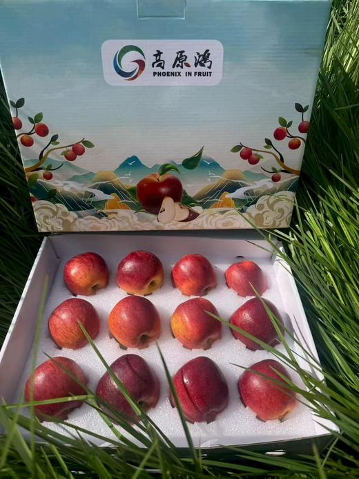 石林富士生态苹果 商品图3