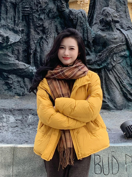 【百图lulu定制】【泡芙羽绒服】90%白鸭绒  彩色  H版型 下摆抽绳 袖口防风 面包领 羽绒服 商品图3