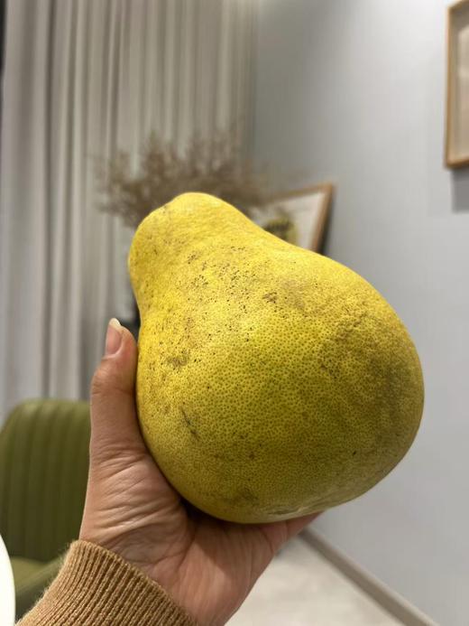 纯正安江老树雪峰冰糖土柚子/ 20斤起发，口味巅峰，一骑绝尘 商品图3