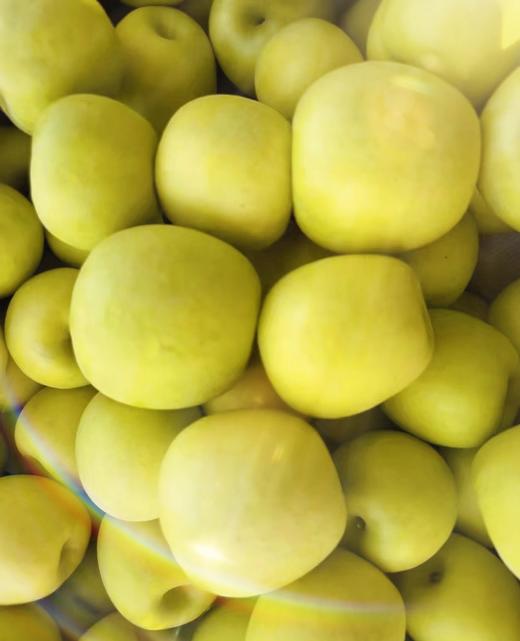 新国货-瑞阳瑞雪苹果 商品图0