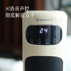 【取暖器】暖身暖全屋 壁炉款/立式/桌面都有  冬天暖暖的~ 商品缩略图11