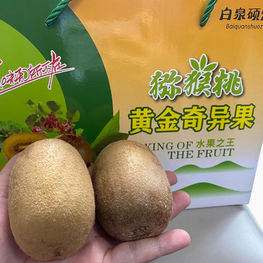【公益助农】黄金猕猴桃 5斤 礼盒装【LY】 商品图1