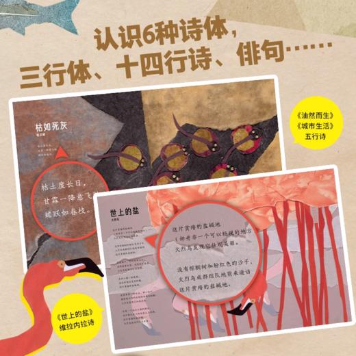 诺贝尔科学馆：自然诗（精）X 商品图2