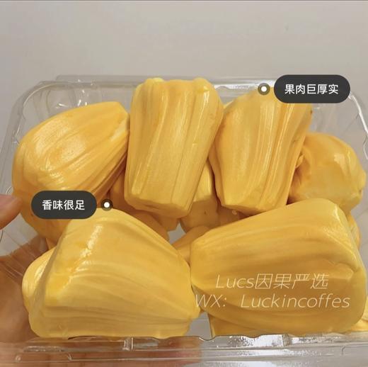 越南 菠萝蜜 15.8/盒/365g 商品图0