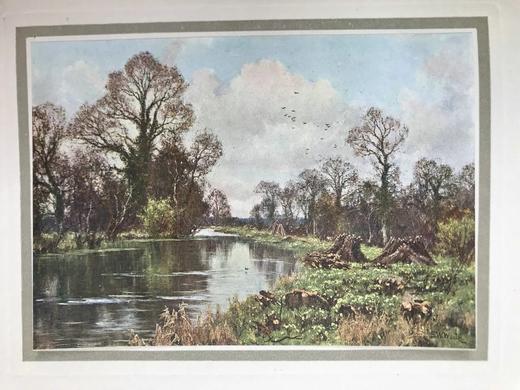 1912年 理查德·杰弗里斯自传《我心灵的故事》 8幅彩色手工贴图 漆布精装大32开 商品图9