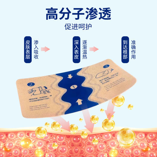 百年扁氏活力运动贴 商品图2