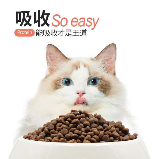 1⃣【福利囤货】【2 包 85 折】【4 包 8 折】 90%动物性原料 41%粗蛋白科瑞卡猫粮 商品图5