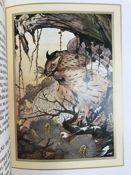 伊索寓言 戴莫德20余幅彩色插图 精装18开 商品图11