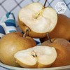 【云南麦地湾梨】酥脆爽口 酸甜可口 肉厚多汁 个头均匀 适合熬汤 榨汁 2种规格任选 商品缩略图0