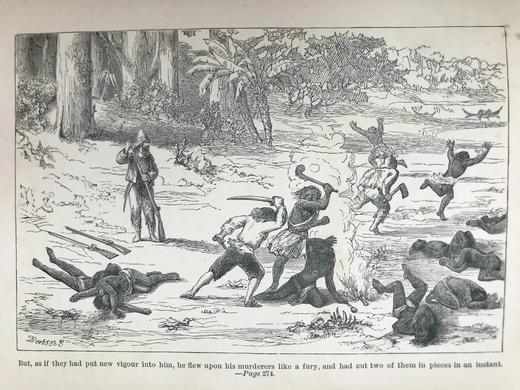 1893年 鲁滨逊漂流记 配多幅插图 漆布精装32开 商品图8