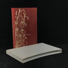 梅沙姆小姐的安息 配彩色插图 弗里欧书社函装本