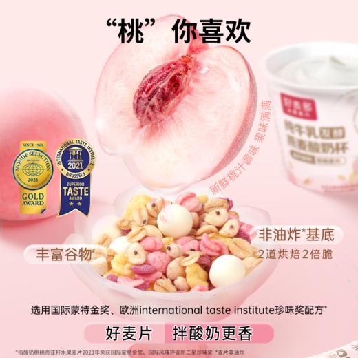 【麦麦SY】特纯酸奶杯一箱6杯*165g | 生牛乳＞90%真酸奶 商品图3