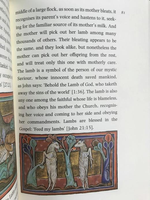 动物寓言集 近百幅彩色插图 精装16开带书匣 商品图9