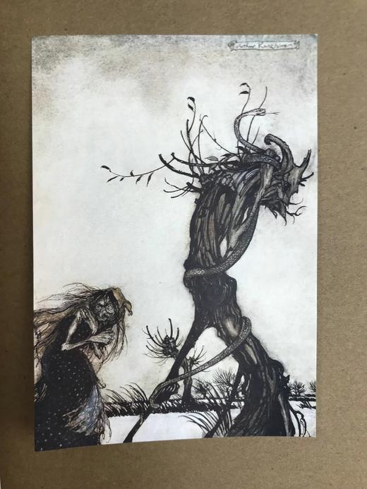 鬼才拉克姆签名本！弥尔顿《酒神之假面舞会》 24幅彩色手工贴图 精装大16开 商品图12