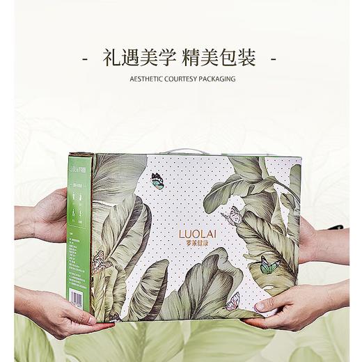 罗莱礼品-雨林蕉影腰颈肩多功能按摩枕 商品图5