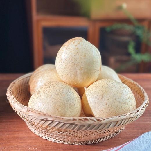 𝙉𝙀𝙒-新品【蜂糖酥梨】凭实力成为今秋养生C位，内在美颠覆外在颜值，一口润养整个秋冬 商品图1