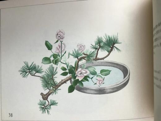 1933年 日本近代插花图集 60幅彩色手绘插图 线装本32开 商品图13