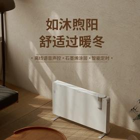 松下（Panasonic）语音石墨烯取暖器家用电暖气电暖器全屋取暖速热遥控变频恒温DS-A2156CW