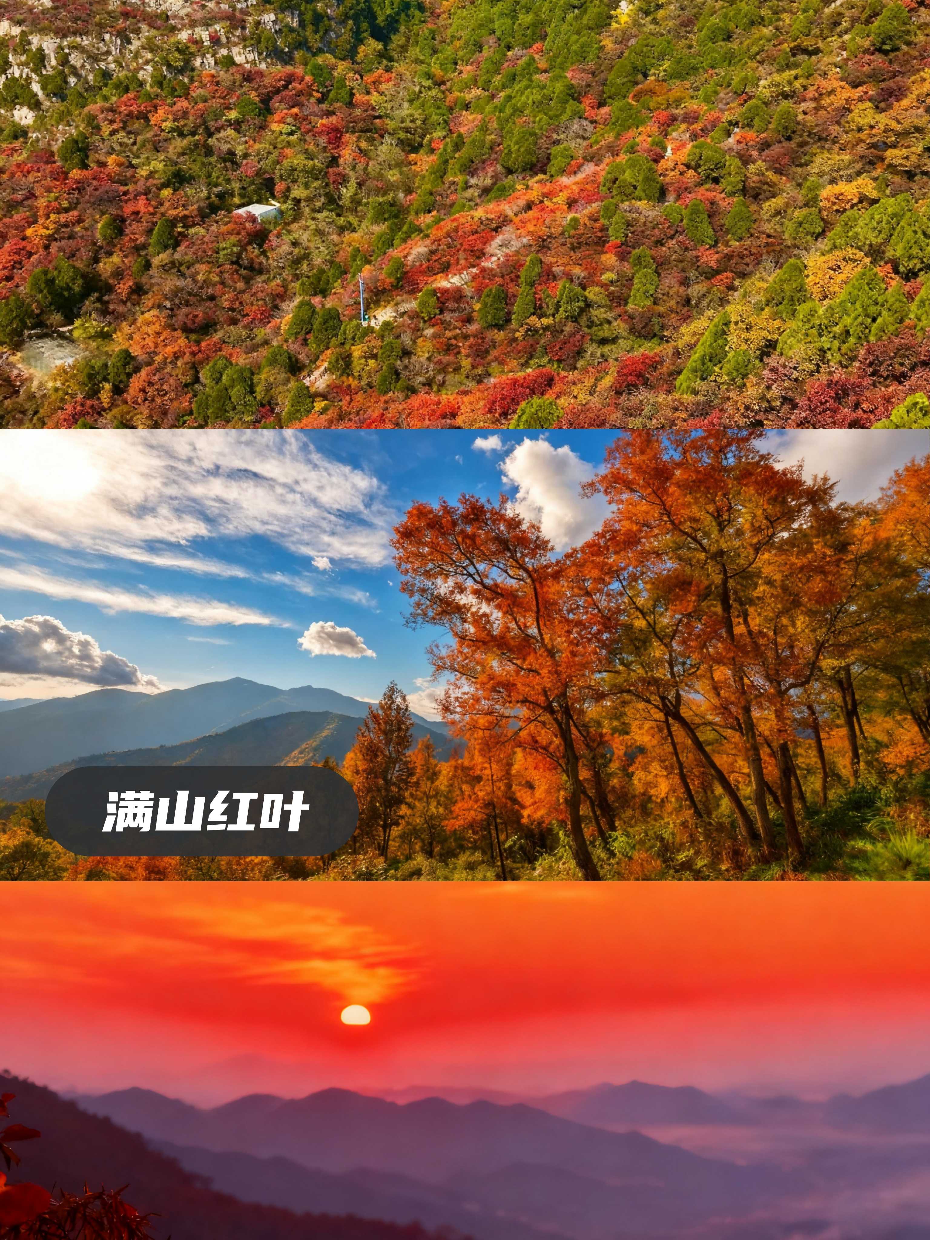 【红叶限定·秋色最浓】 广州石门国家森林公园红叶观赏（可升级温泉宾馆住宿）