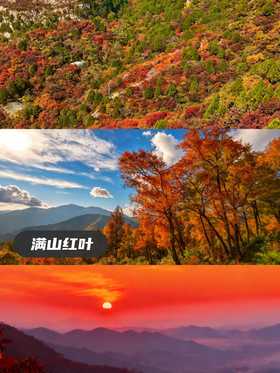 【红叶限定·秋色最浓】 广州石门国家森林公园红叶观赏（可升级温泉宾馆住宿）