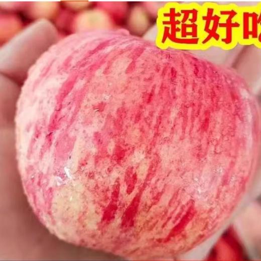 特级富士（约500G） /份 商品图1